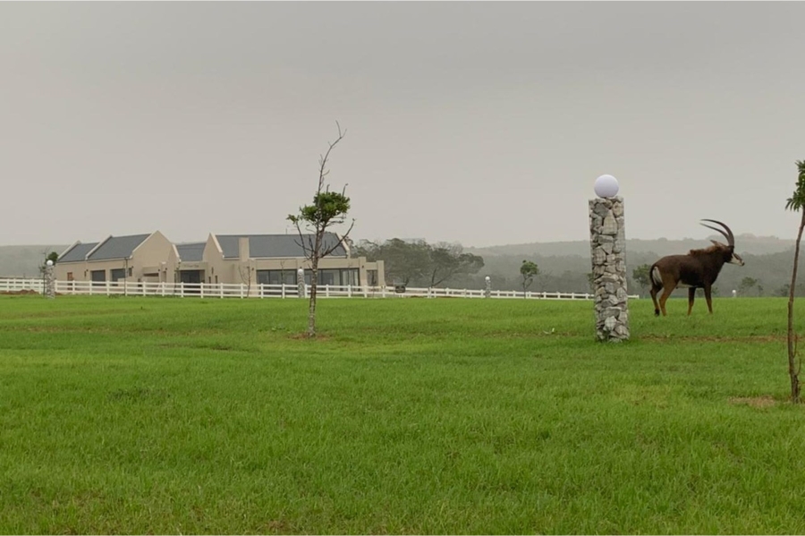 0 Bedroom Property for Sale in Kabeljauws Eastern Cape